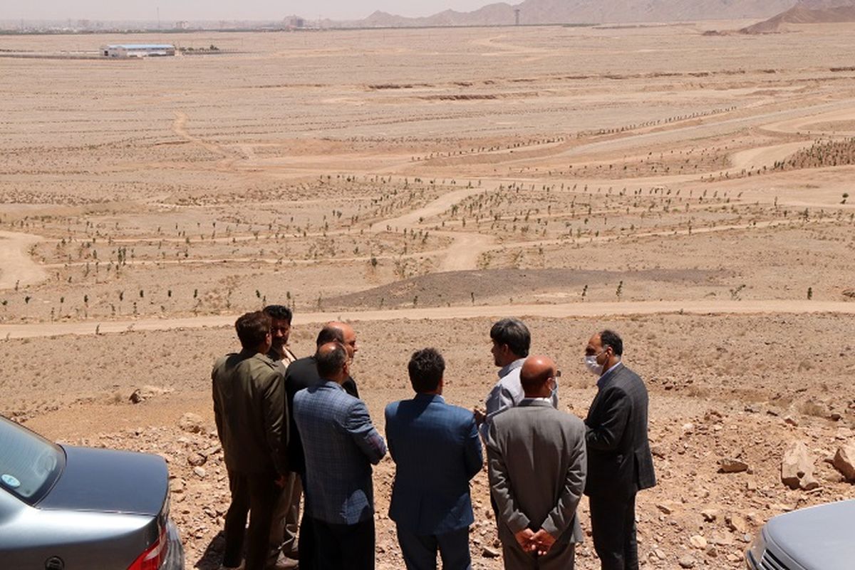 سیما و منظر