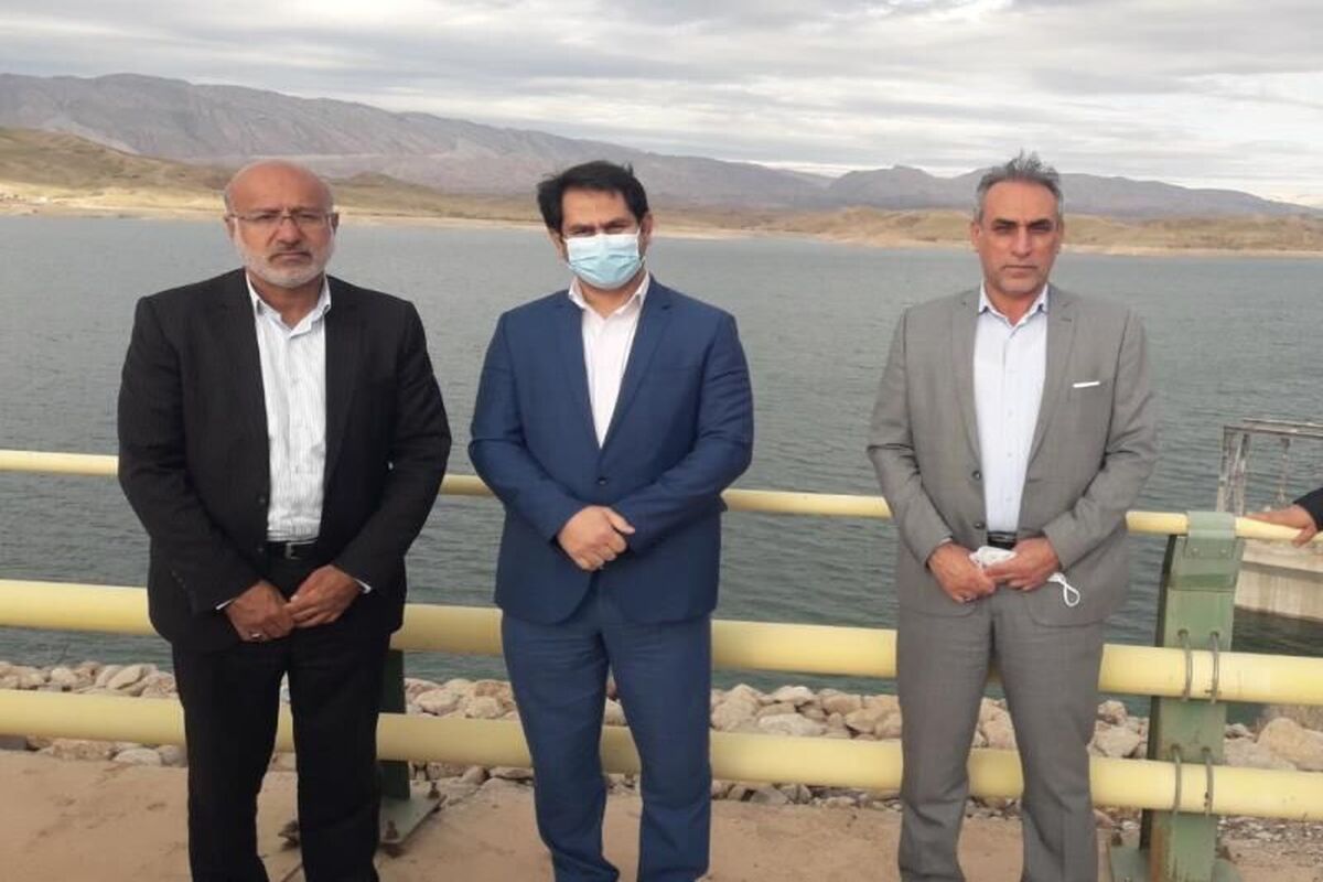 بازدید