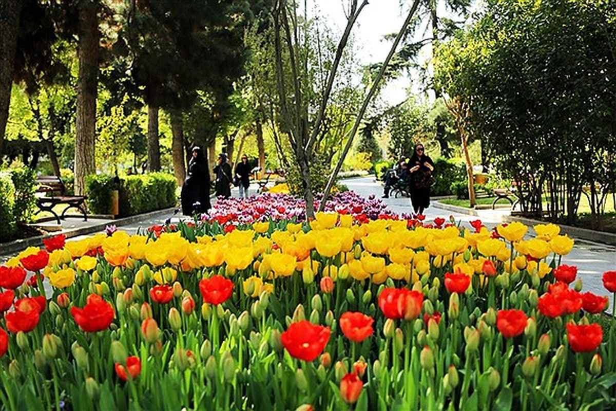 گل لاله و نرگس