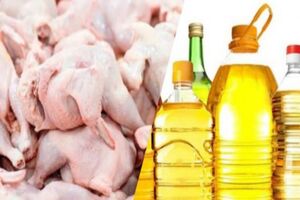 عرضه روغن و مرغ با قیمت مصوب از روز جمعه و شنبه در قم آغاز می شود