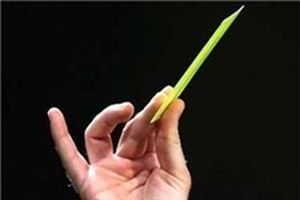 ترکیه خشن‌ترین و فرانسه پائین‌تر از آلمان و انگلیس