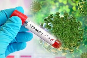 لزوم انجام تست کرونا برای شهروندان پس از ورود به بوموسی 