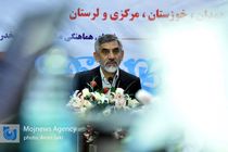 بحث توزیع دولتی مواد مخدر در ایران غیرکارشناسی بود