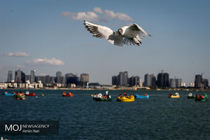 گشتی در دریاچه چیتگر