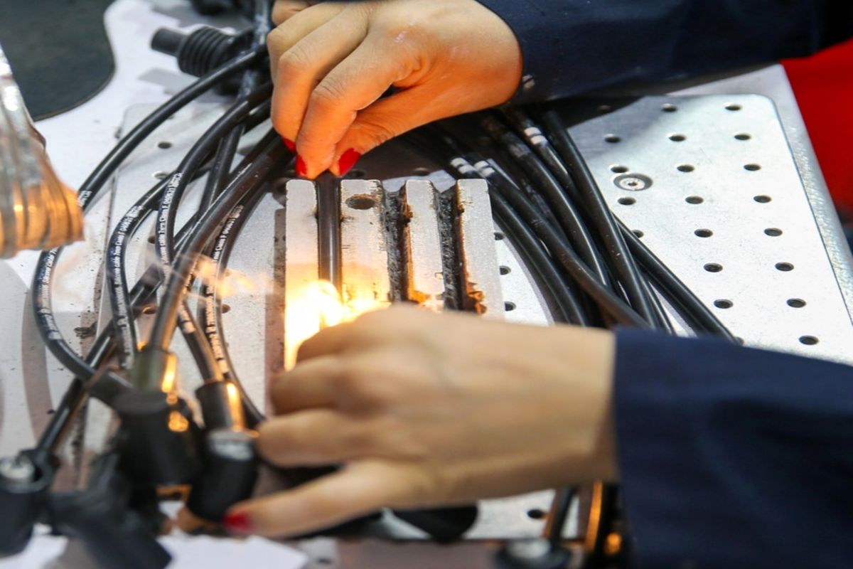 اشتغالزایی مددجویان