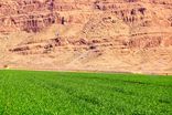 ۱۳.۵ میلیون مترمربع از اراضی فارس طی سه ماهه نخست سال تعیین تکلیف شد