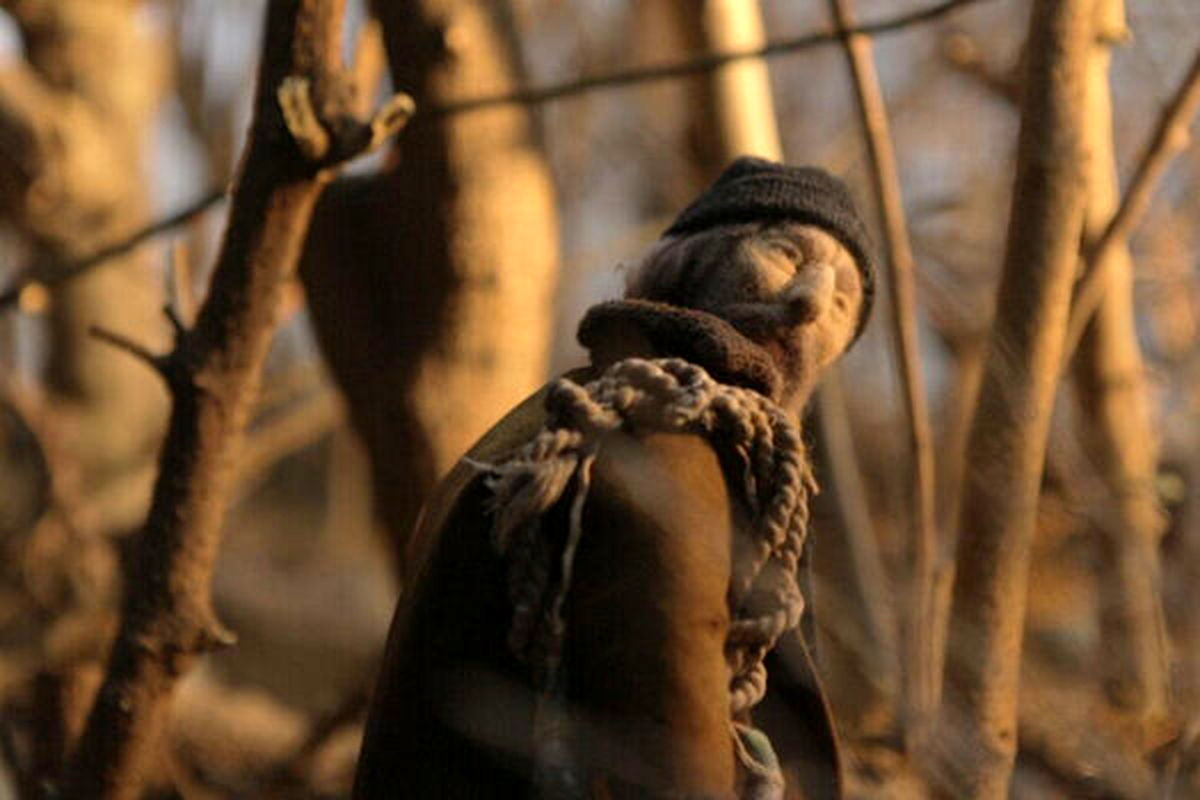 پویانمایی ده‌ سالگی