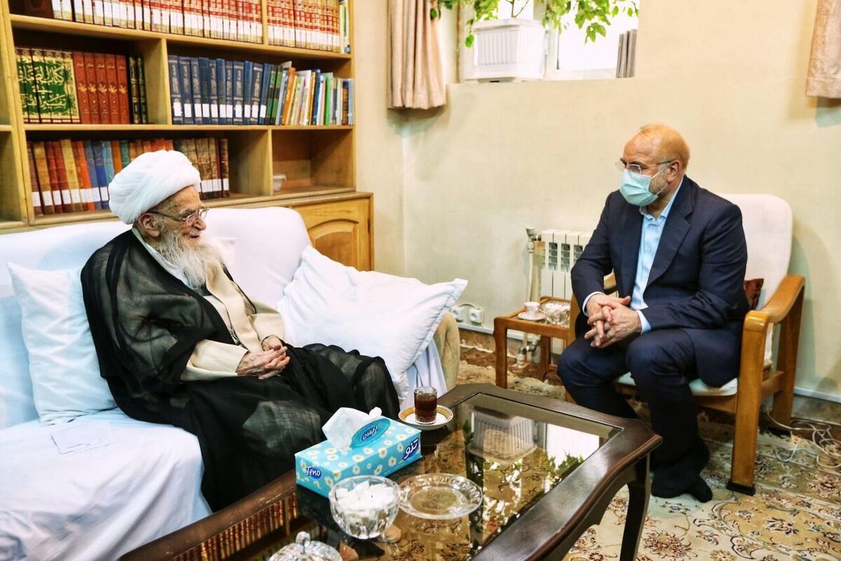 آیت الله صافی گلپایگانی