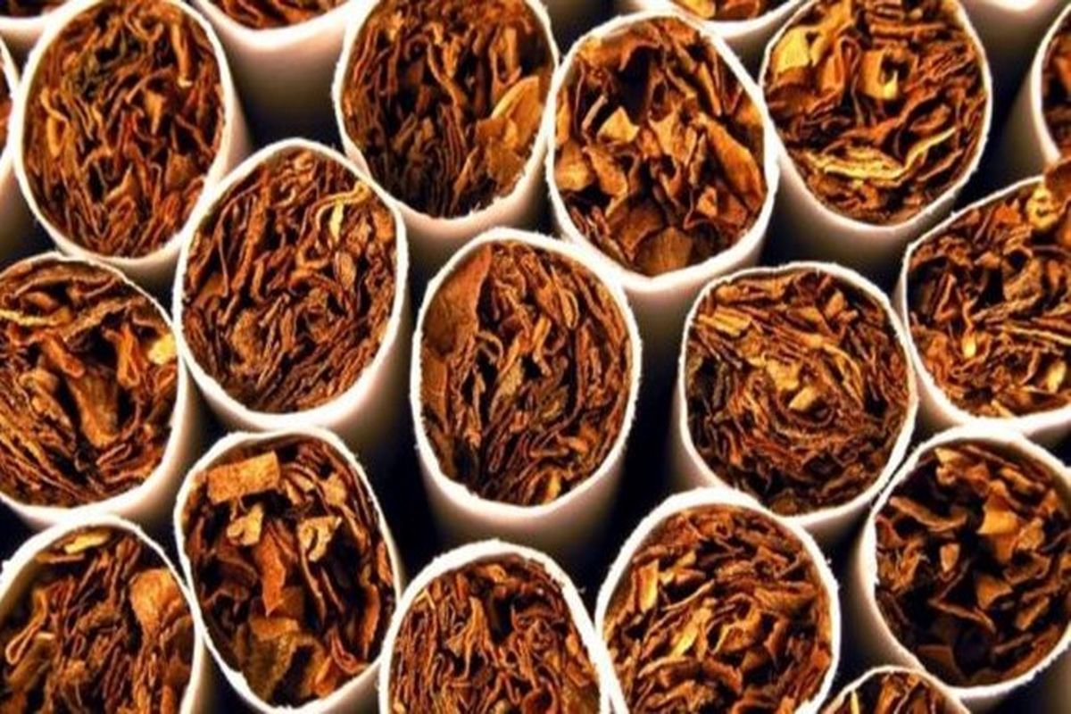 کشف تنباکوی قاچاق