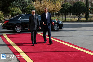 دیدار وزیر امور خارجه هند با وزیر امور خارجه ایران