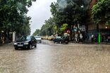 آب‌گرفتگی معابر تهران کاهش یافت/ نقاط دارای مشکل اصلاح شد