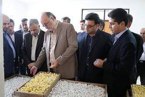 تقاضا برای دریافت تخم نوغان از اثرات حمایت دولت از این صنعت است 