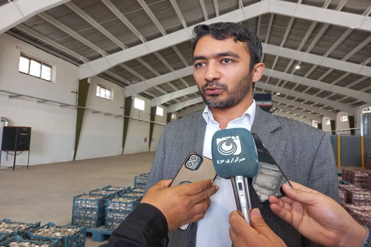 معاون سازمان انرژی اتمی ایران