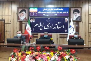 ایلام دارای ویژگی های درون زائی و برون زایی اقتصاد و سرمایه گذاری است