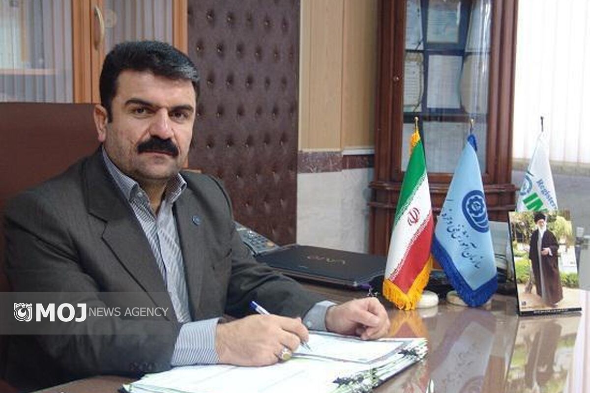 سیدجمیل احمدی