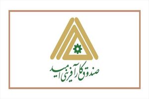 طرح ساماندهی کارکنان دولت به اخراج نیروهای صندوق کارآفرینی امید منجر شد