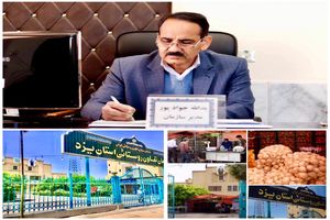 آغاز خرید توافقی و عرضه مستقیم محصول پیاز تولیدی جنوب کرمان توسط شبکه تعاون روستایی یزد