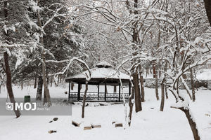 تداوم بارش برف استان اردبیل را تعطیل کرد