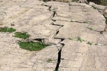 ۴۷ کیلومتر مربع پهنه های گسل در داخل شهر تهران وجود دارد