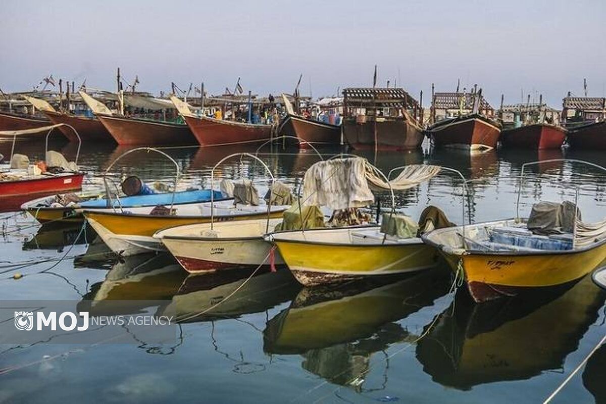 شیلات کیش