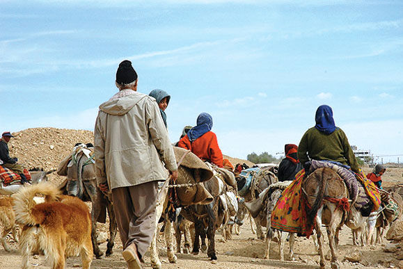 آغاز کوچ عشایر از استان های همجوار به حاجی آباد