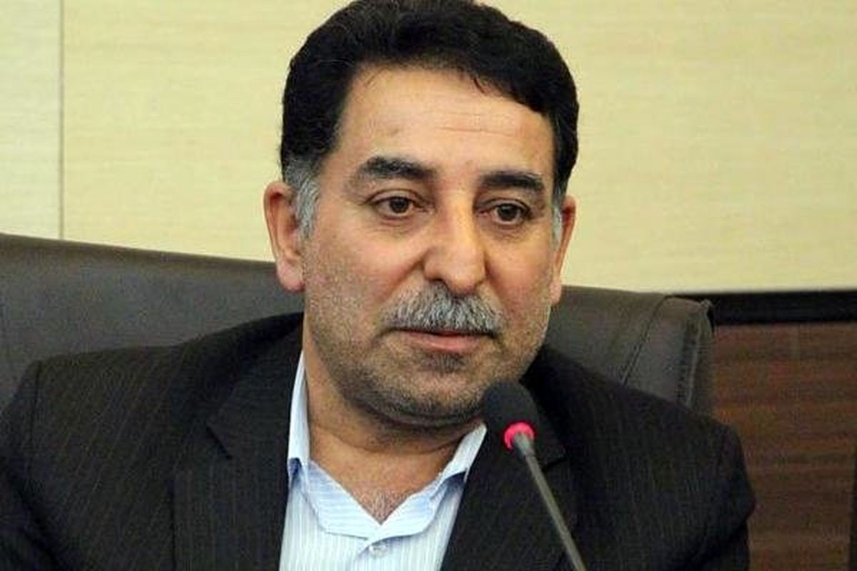 محمد محامدی