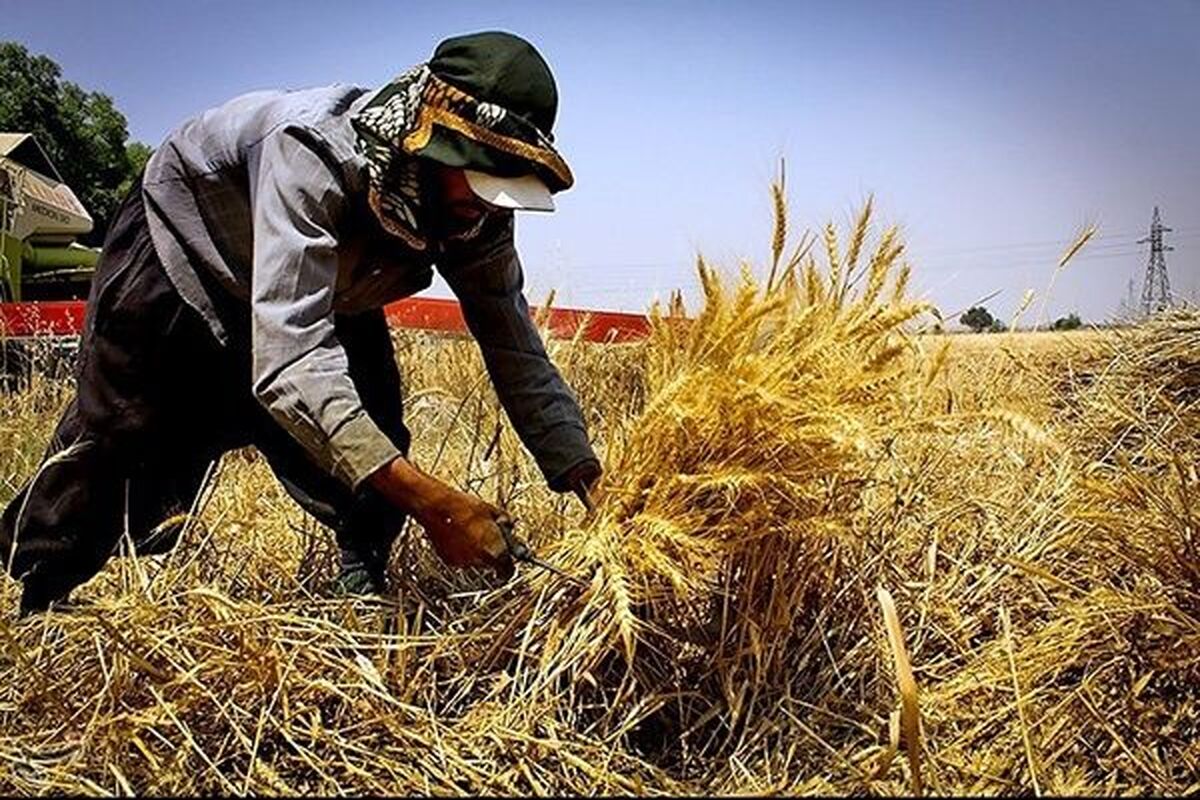 تسهیلات اشتغال روستایی