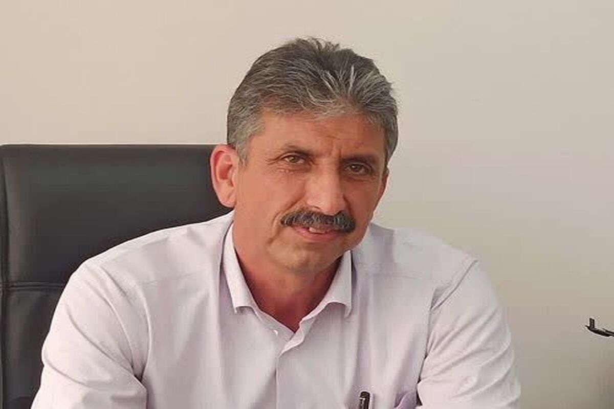 بیگی.