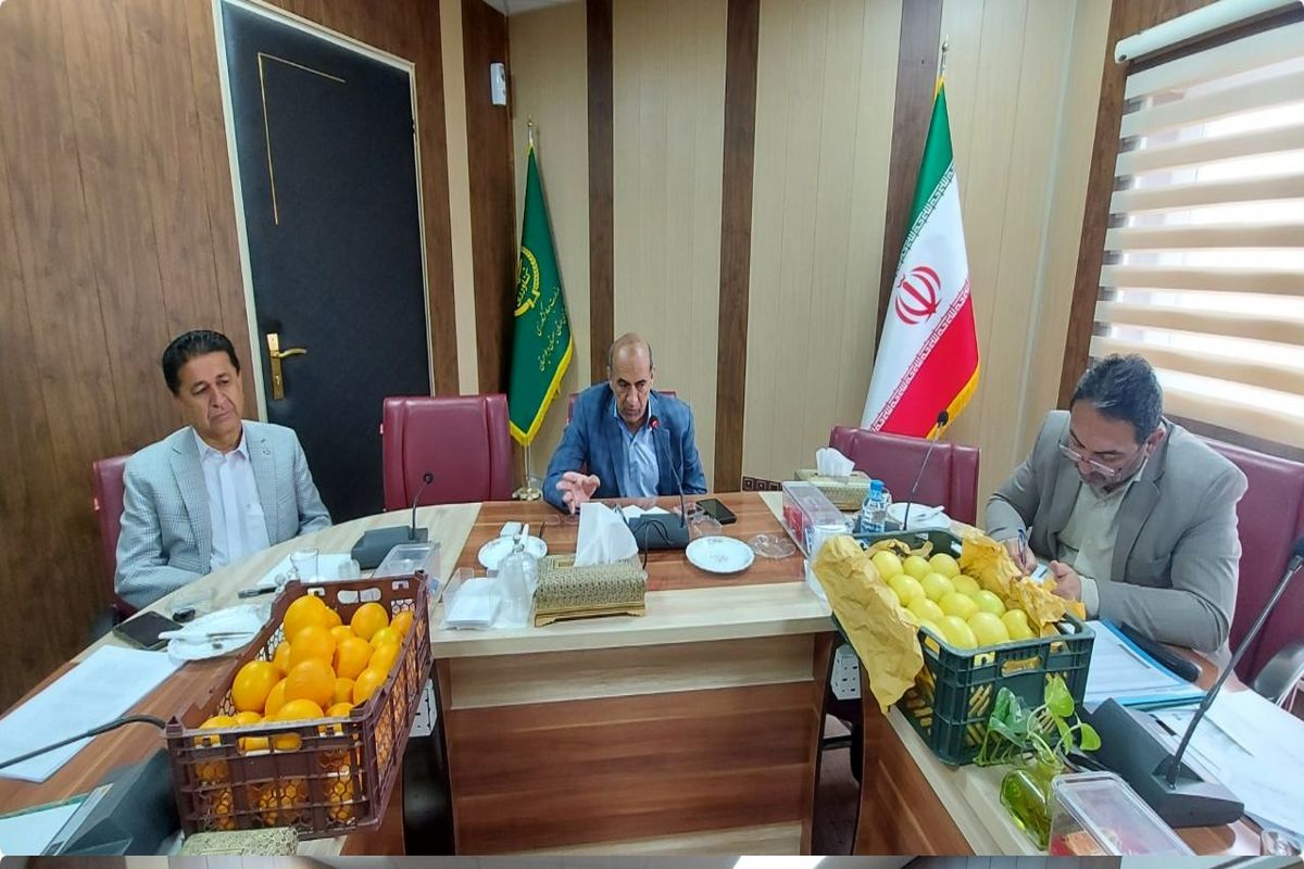 تنظیم بازار