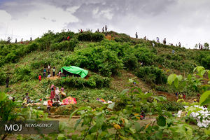 لغو سفر نمایندگان سازمان ملل توسط دولت میانمار