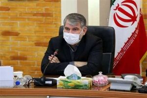 یارانه‌ای به منظور جبران افزایش قیمت آرد به مردم خواهیم داد 