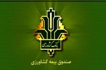 مصوبه دولت درباره پرداخت بدهی صندوق بیمه محصولات کشاورزی به بانک کشاورزی ابلاغ شد