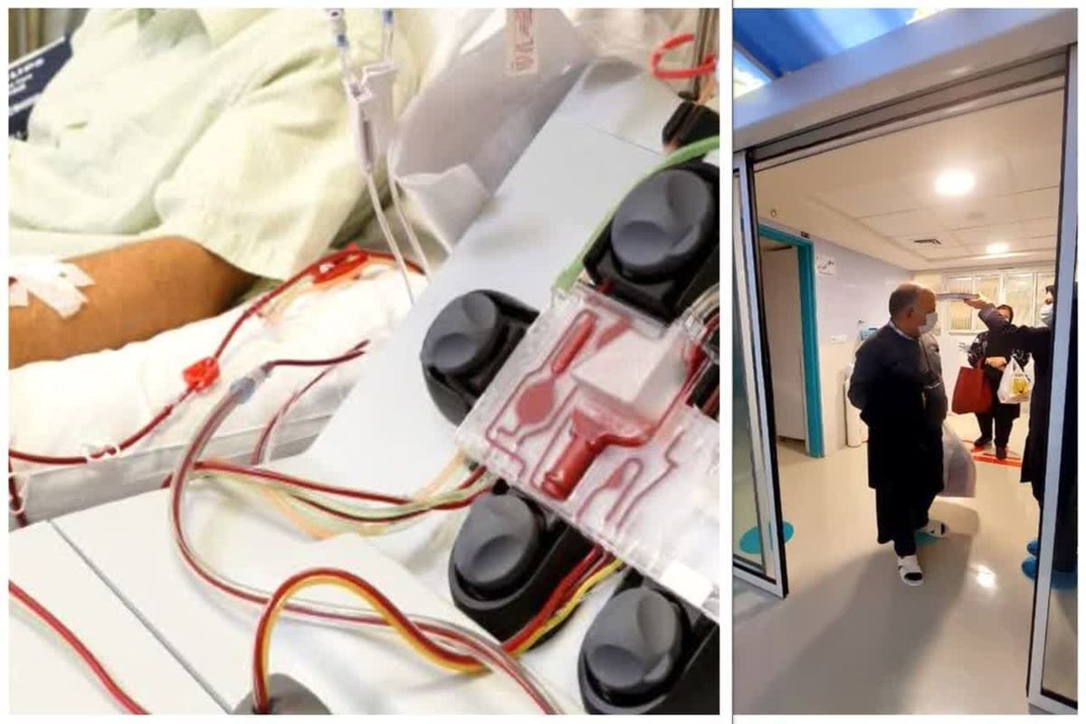 پیوند سلول بنیادی