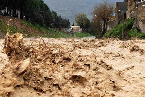 توزیع ۲۰۰ سری لوازم خانگی بین آسیب دیدگان سیل فارس