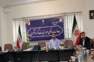 شهر سلامت بستری مناسب برای جذب سرمایه گذاری خارجی