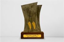 724 بهترین اپلیکیشن موبایلی کشور شد