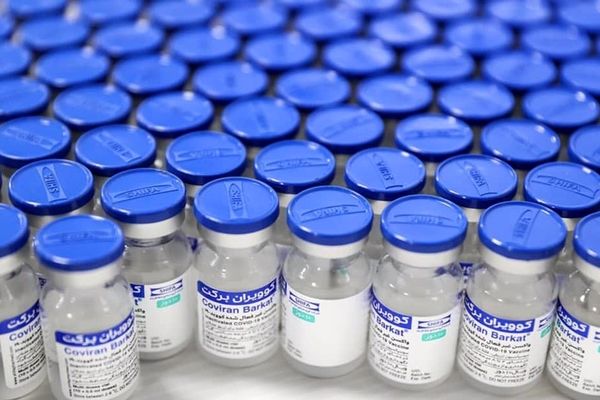 مطالبات معوق تأمین‌کنندگان مواد اولیه واکسن برکت/سکوت مسئولان سابق ادامه دارد