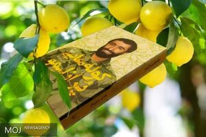 کوله‌هایی پُر از لیمو؛ خاطرات معلم و سردار شهید علیرضا حاجی بابایی