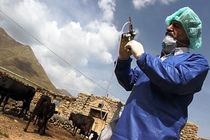 رزمایش پدافند غیرعامل بیماری‌های انسان و دام در خرم‌آباد برگزار شد