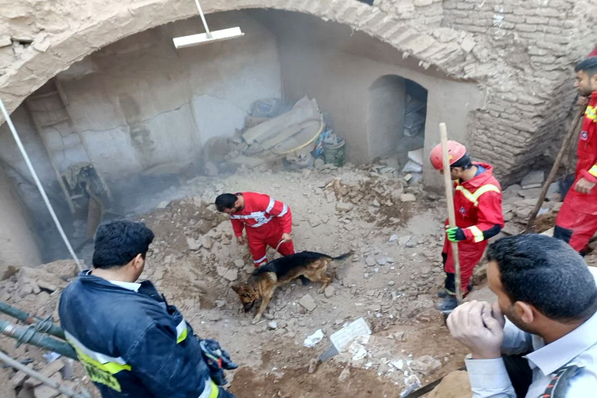 هلال احمر یزد