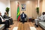 سفیر جمهوری اسلامی ایران با وزیر امور خارجه موریتانی دیدار کرد