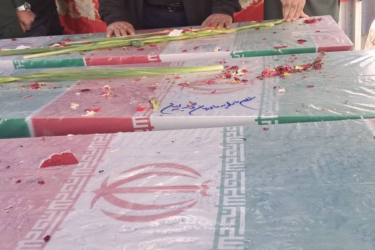شهدا۶
