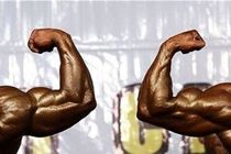 تیم‌های برتر مسابقات پرورش‌اندام خوزستان معرفی شدند