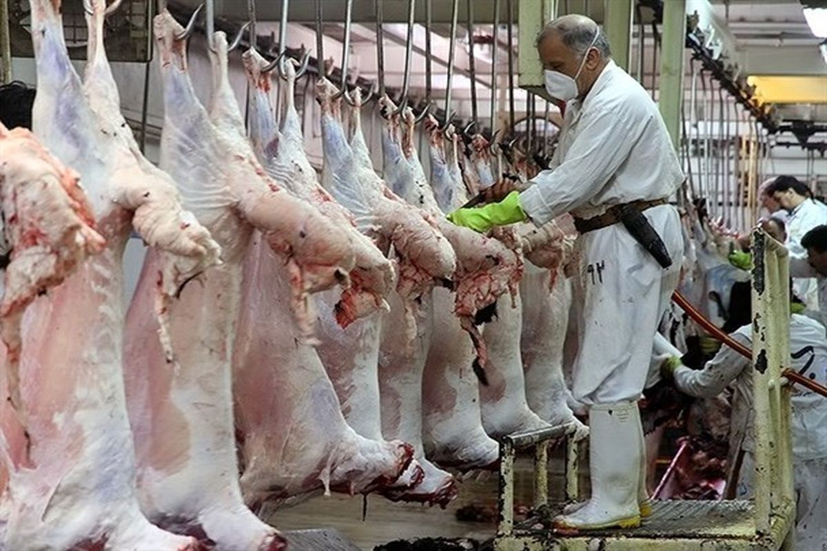 ذبح دام‌های نذری در ایام محرم