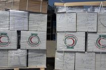 اولین محموله دارویی هلال احمر برای مراسم حج تمتع ارسال شد