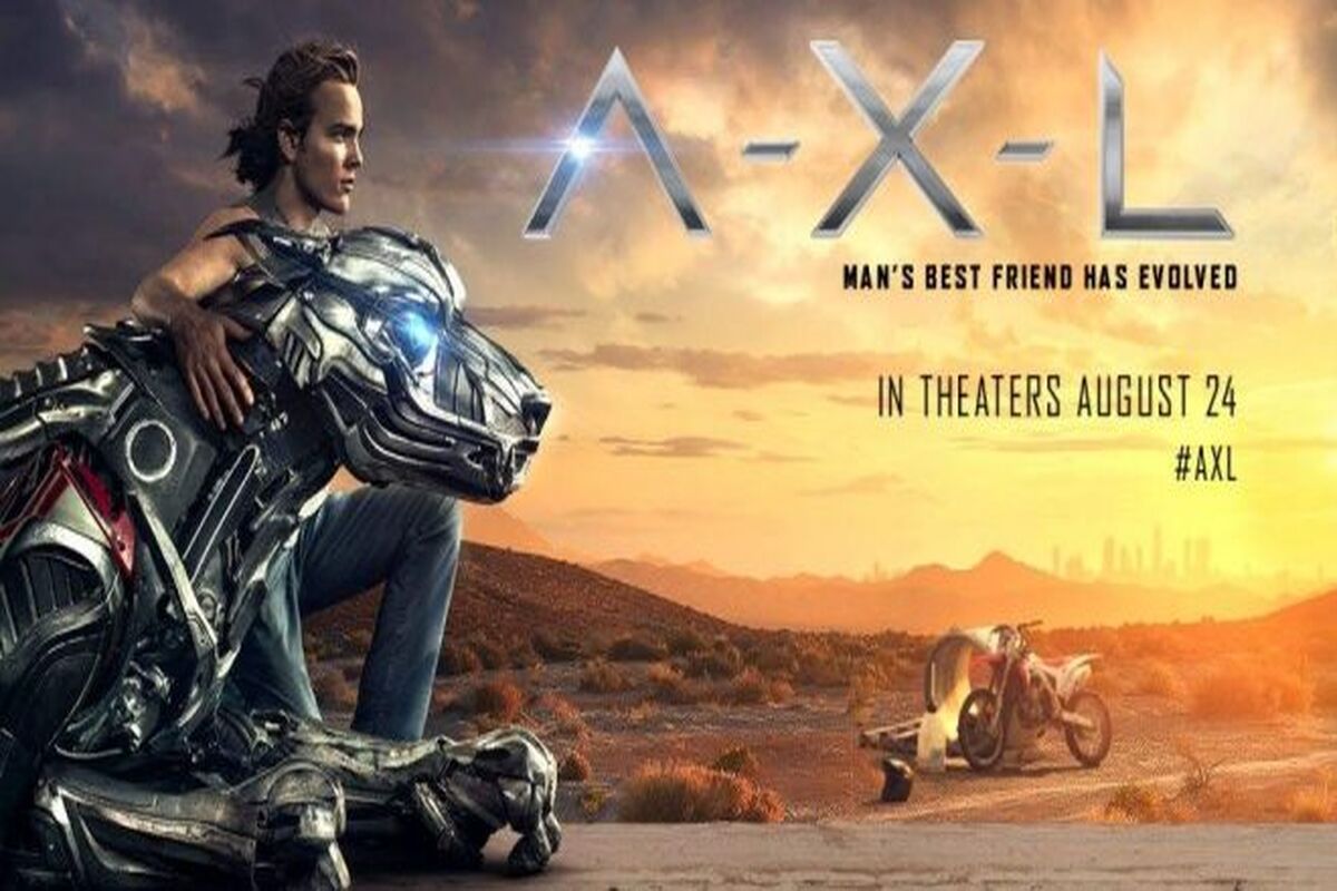 A.X.L