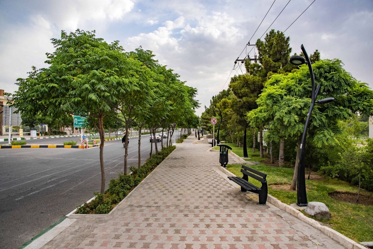 هرس اصولی درختان