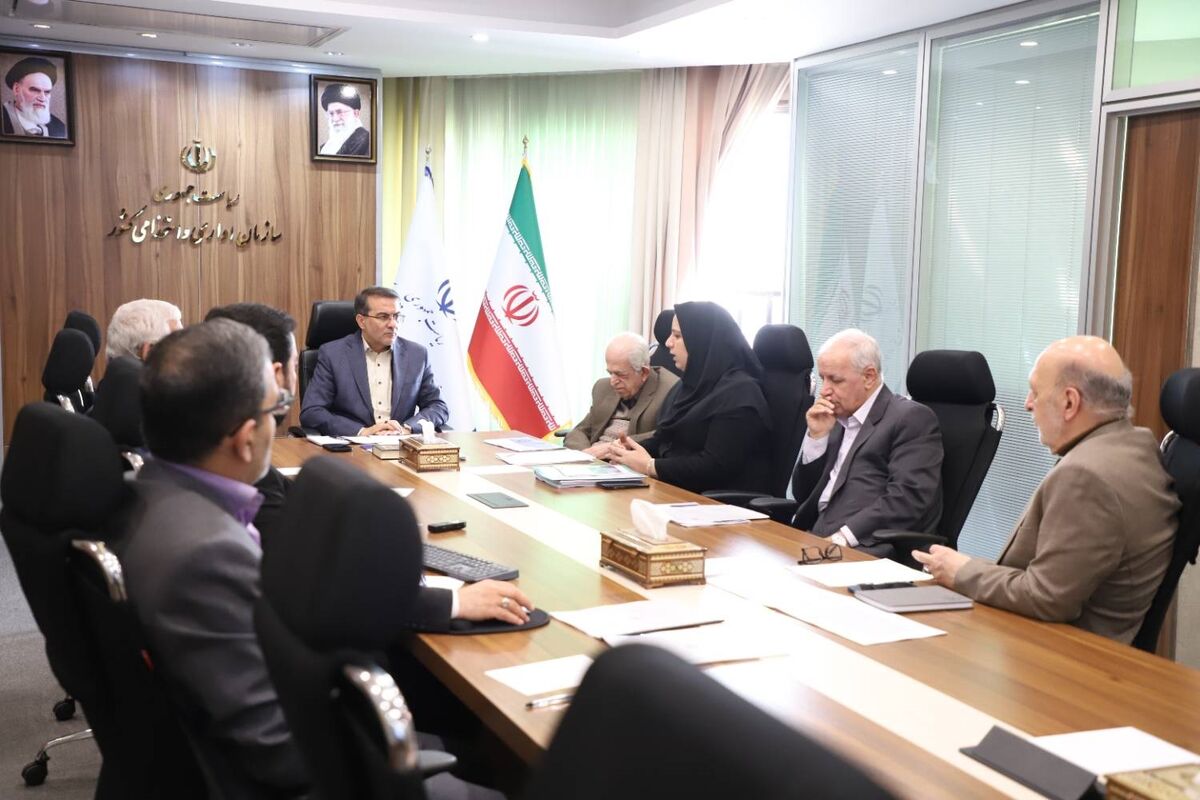  علاءالدین رفیع‌زاده