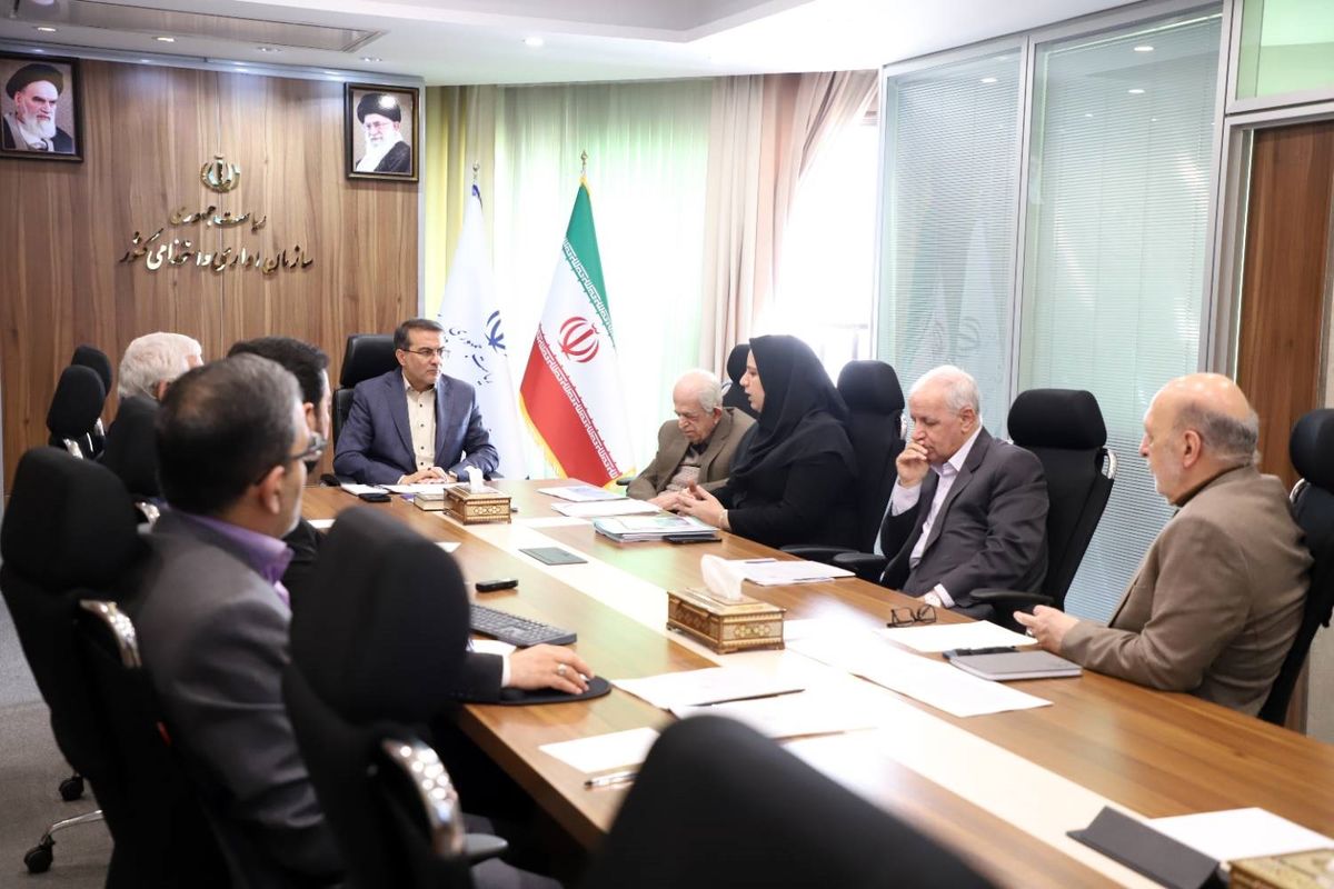  علاءالدین رفیع‌زاده