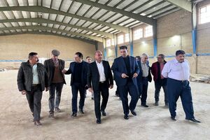 فارس دارای خانه هندبال می‌شود